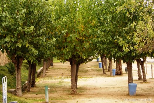 Fotografia de  Aina Riera Fotografa - Galeria Fotografica: Badalona es de Mar - Foto: 