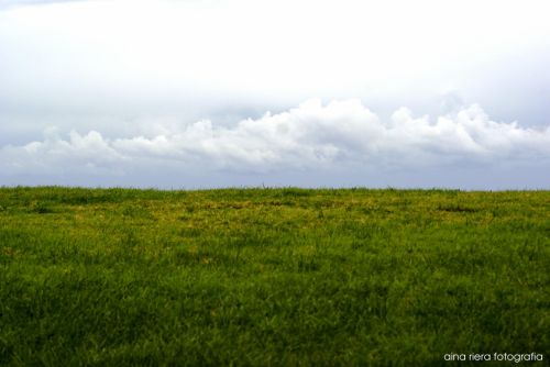 Fotografia de  Aina Riera Fotografa - Galeria Fotografica: Badalona es de Mar - Foto: 