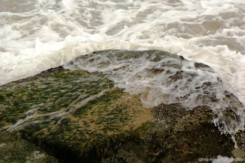 Fotografia de  Aina Riera Fotografa - Galeria Fotografica: Badalona es de Mar - Foto: 