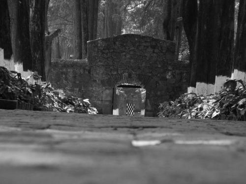 Fotografia de mayeya - Galeria Fotografica: Mas Blancos Que Negros - Foto: La puerta  tu corazon, corazon