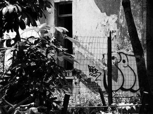 Fotografia de mayeya - Galeria Fotografica: Secuelas - Foto: Quedandose con el tiempo que pasa