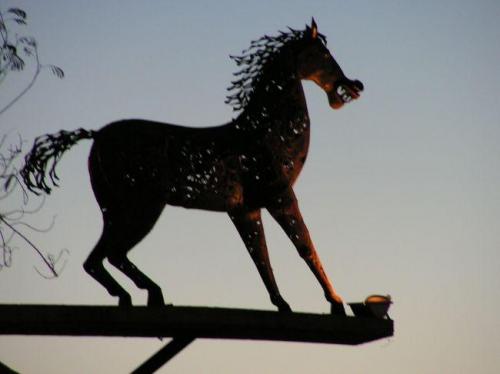 Fotografia de mayeya - Galeria Fotografica: contigo y sin mi - Foto: caballito que no corre