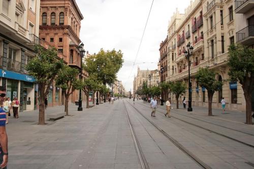 Fotografia de Alvaro Martin - Galeria Fotografica: Sevilla 1 - Foto: Avenida Constitucin