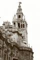Fotos de Alvaro Martin -  Foto: Sevilla 1 - Giralda 1