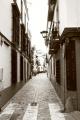 Fotos de Alvaro Martin -  Foto: Sevilla 1 - Calle sevillana...