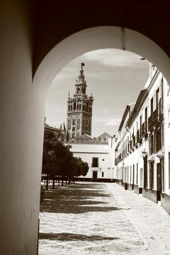 Fotografia de Alvaro Martin - Galeria Fotografica: Sevilla 2 - Foto: Giralda desde la judera