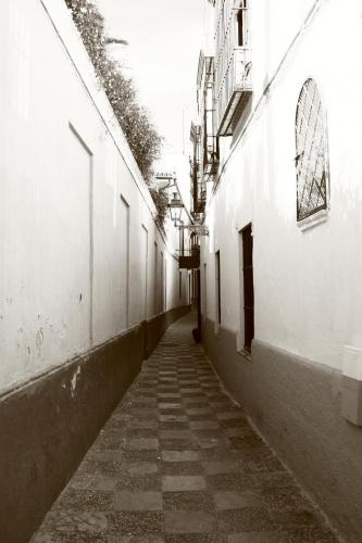 Fotografia de Alvaro Martin - Galeria Fotografica: Sevilla 2 - Foto: Judera