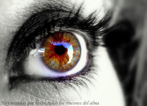 Fotografia de kogollika - Galeria Fotografica: Her eye - Foto: Eye