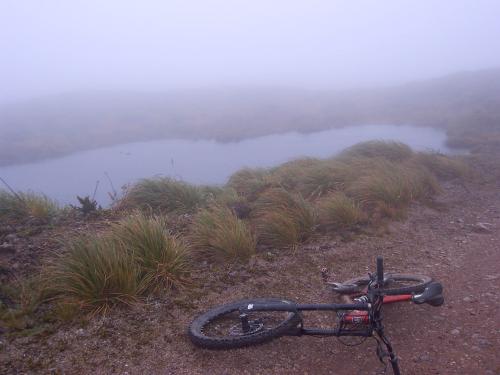 Fotografia de juanshox - Galeria Fotografica: Deportes - Foto: primer plano