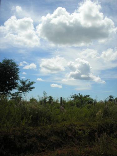 Fotografia de raquel feltes - Galeria Fotografica: mi tierra - Foto: invade el cielo