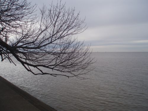 Fotografia de noesol - Galeria Fotografica: LA RIVERA DE QUILMES - Foto: 