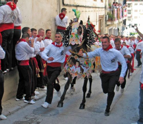 Fotografia de P. Costa - Galeria Fotografica: CABALLOS DEL VINO - Foto: 