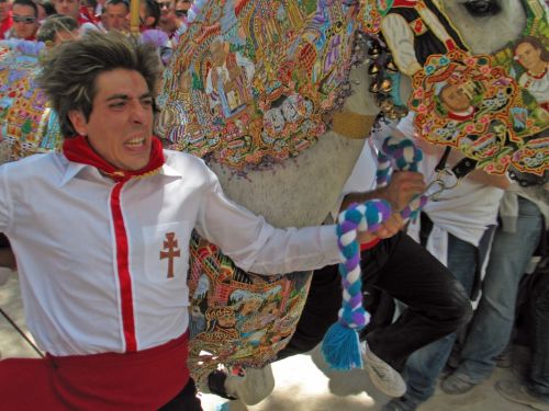 Fotografia de P. Costa - Galeria Fotografica: CABALLOS DEL VINO - Foto: 