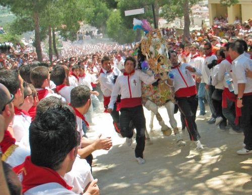 Fotografia de P. Costa - Galeria Fotografica: CABALLOS DEL VINO - Foto: 