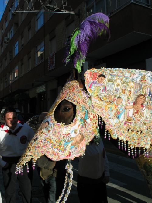 Fotografia de P. Costa - Galeria Fotografica: CABALLOS DEL VINO - Foto: 