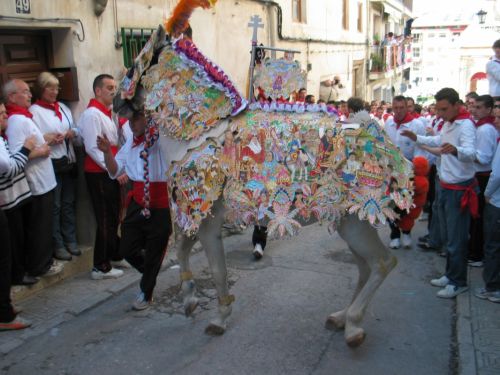 Fotografia de P. Costa - Galeria Fotografica: CABALLOS DEL VINO - Foto: 