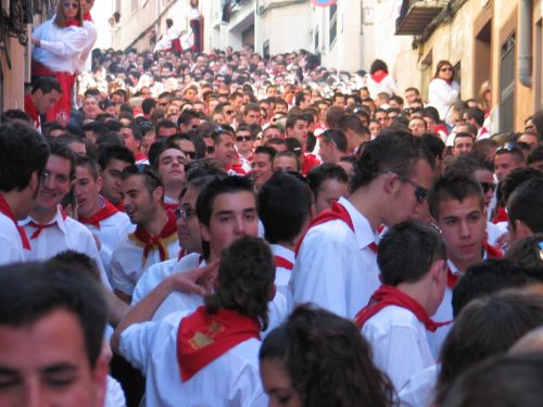 Fotografia de P. Costa - Galeria Fotografica: CABALLOS DEL VINO - Foto: 