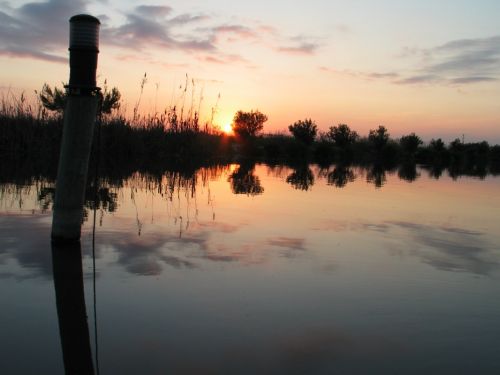 Fotografia de P. Costa - Galeria Fotografica: NATURALEZA VIVA (PAISAJES) - Foto: 