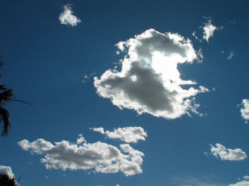 Fotografia de P. Costa - Galeria Fotografica: NATURALEZA VIVA (PAISAJES) - Foto: 