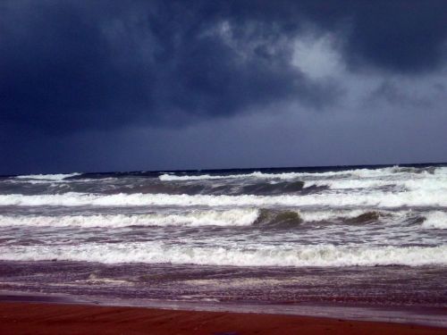 Fotografia de P. Costa - Galeria Fotografica: NATURALEZA VIVA (PAISAJES) - Foto: 