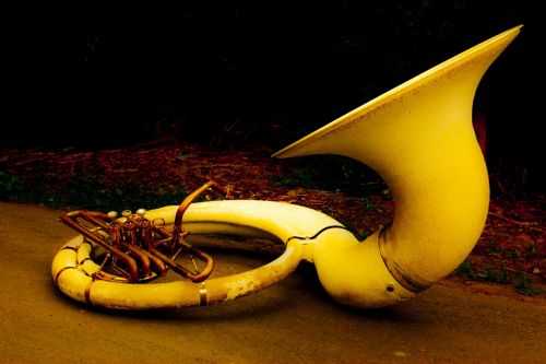 Fotografia de Jorge Cruz  - Galeria Fotografica: la musica muerta - Foto: 