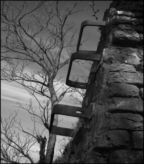 Fotografia de Sitiodelalma - Galeria Fotografica: B&N... yALGO M�S - Foto: Camino a la libertad