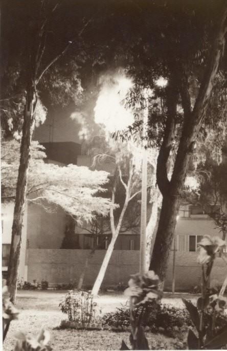 Fotografia de Marco Malpartida - Galeria Fotografica: Random Stuff - Foto: 