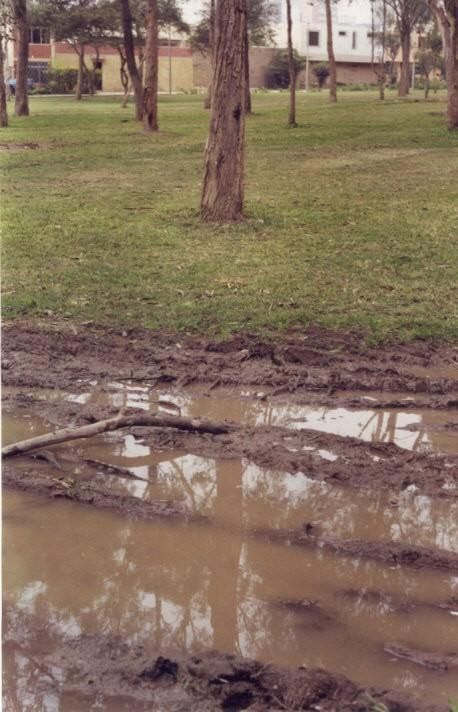 Fotografia de Marco Malpartida - Galeria Fotografica: Random Stuff - Foto: 