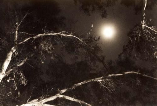 Fotografia de Marco Malpartida - Galeria Fotografica: Random Stuff - Foto: 