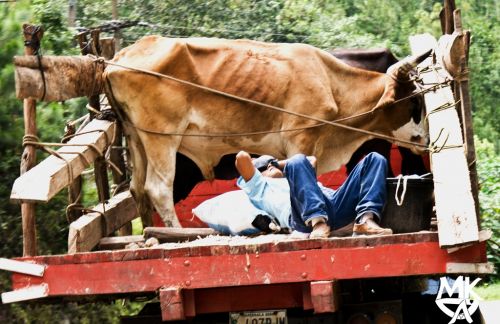 Fotografia de Juan Moncada - Galeria Fotografica: personalidades de... - Foto: 