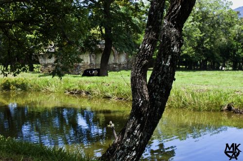 Fotografia de Juan Moncada - Galeria Fotografica: Paisajes de mi Guatemala - Foto: 