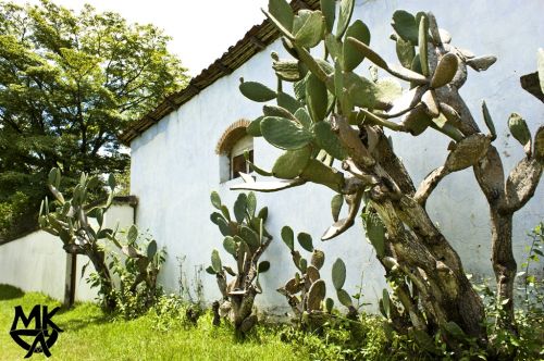 Fotografia de Juan Moncada - Galeria Fotografica: Paisajes de mi Guatemala - Foto: 