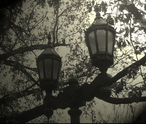 Fotografia de Sitiodelalma - Galeria Fotografica: B&N... yALGO MS - Foto: la belleza de lo simple