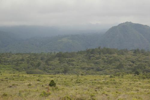 Fotografia de Julio M. Prez Lasheras - Galeria Fotografica: Tanzania - Foto: El Pequeo Ngorongoro