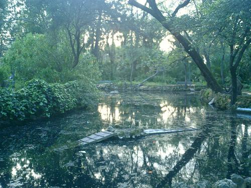 Fotografia de Art - Galeria Fotografica: Paisajes - Foto: Lake