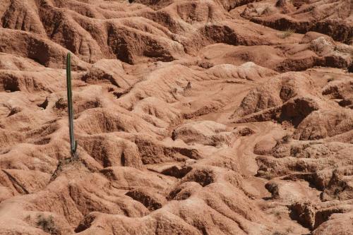 Fotografia de Jader - Galeria Fotografica: Desierto de la Tatacoa - Colombia - Foto: Zona Cuzco
