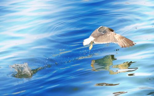 Fotografia de miguelitor - Galeria Fotografica: ahora tu - Foto: vuelo