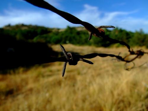 Fotografia de ivansantano - Galeria Fotografica:  MACRO IVANSANTANO - Foto: ALAMBRE