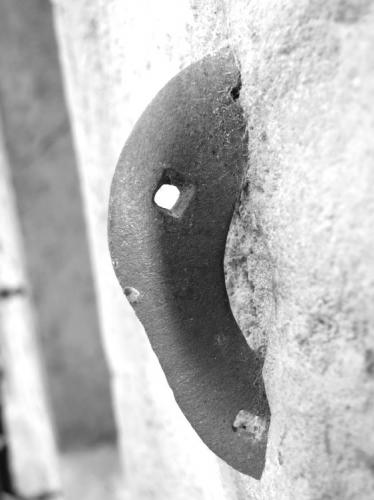 Fotografia de ivansantano - Galeria Fotografica:  MACRO IVANSANTANO - Foto: HERRADURA