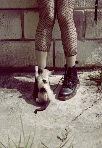 Fotografia de Estela Photography - Galeria Fotografica: Artstica - Foto: Gato con botas