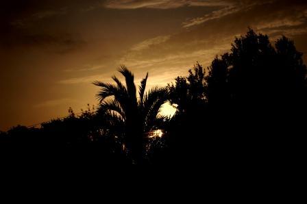 Fotografia de Charlotte - Galeria Fotografica: regalo. - Foto: atardecer