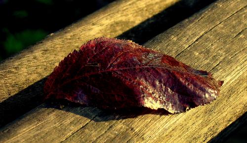 Fotografia de LLUIS - Galeria Fotografica: CIUDADES - Foto: OTOO								