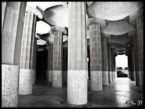 Fotografia de Pau - Galeria Fotografica: Blanco y Negro - Foto: Parc Gell BCN