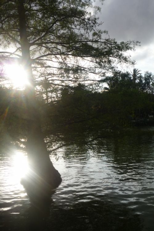 Fotografia de katze - Galeria Fotografica: pasatiempo - Foto: 