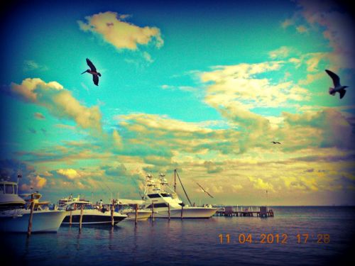 Fotografia de ari - Galeria Fotografica: free note - Foto: 