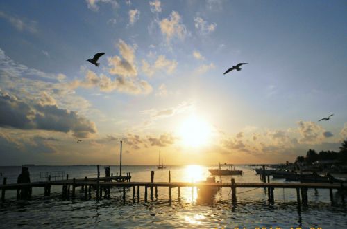 Fotografia de ari - Galeria Fotografica: free note - Foto: 