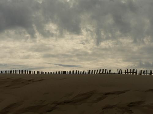 Fotografia de Juan A. Ortiz - Galeria Fotografica: Paisajes de Tarifa - Foto: duna