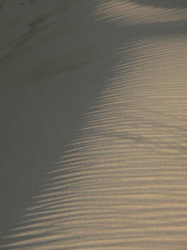 Fotografia de Juan A. Ortiz - Galeria Fotografica: Paisajes de Tarifa - Foto: arena