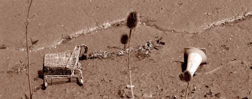 Fotografia de Joaqun LM - Galeria Fotografica: Mi camara y yo. - Foto: SUPERmarino