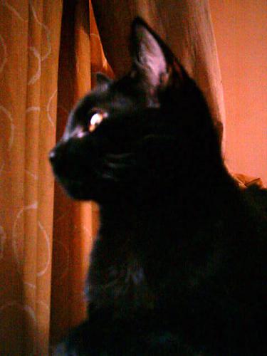 Fotografia de Laura AJMC - Galeria Fotografica: Nuestros amigos - Foto: 